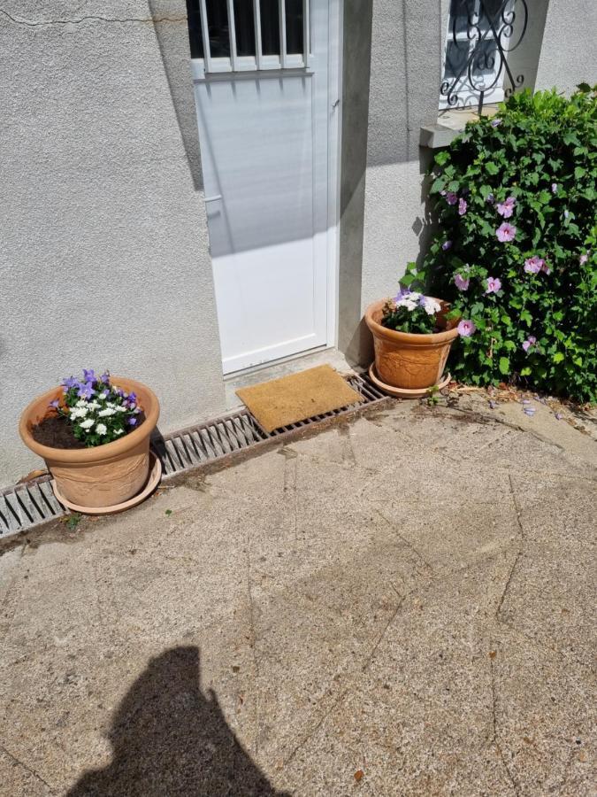 Location Saisonniere Appartement Situe A Saumur Ngoại thất bức ảnh