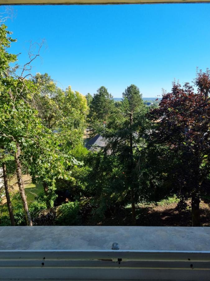 Location Saisonniere Appartement Situe A Saumur Ngoại thất bức ảnh